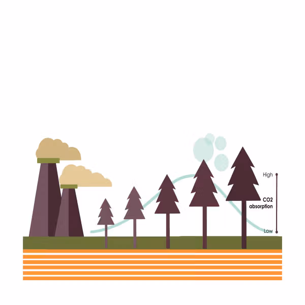 1 Sustainability and Re-board